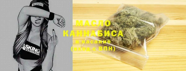 дмт Новозыбков