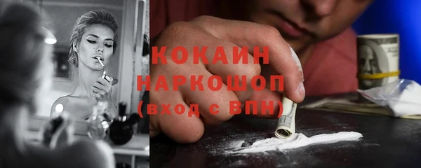 дмт Новозыбков