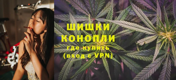 дмт Новозыбков