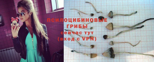 бутик Новодвинск