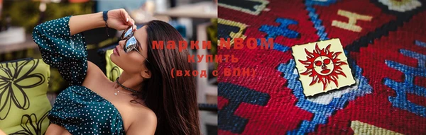 дмт Новозыбков