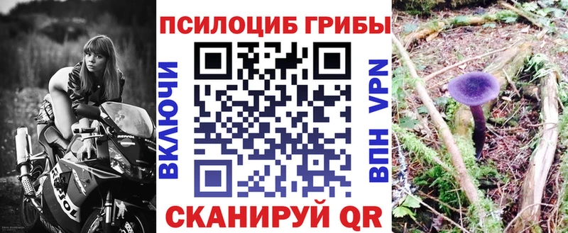 даркнет сайт  Советск  Псилоцибиновые грибы Psilocybe 